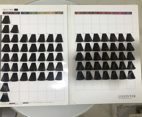 白髪染め知識、市販カラープロ用カラーの違い教えます ホームカラー革命、皆様が驚くようなこと裏技をお教えします。 イメージ2