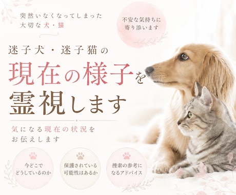 迷子犬・迷子猫の現在の様子を霊視します 気になる現在の状況をお伝えします イメージ1