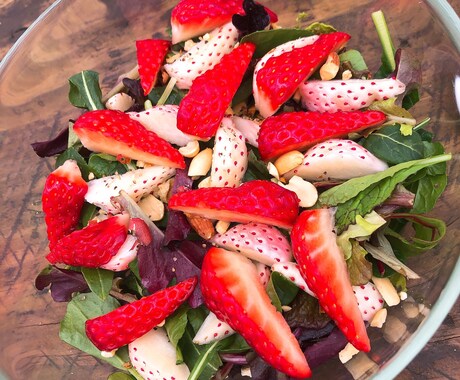 JVeganist考案＿簡単菜食レシピ提供します どこでも手に入る食材しか使いません！【レベル１】 イメージ1