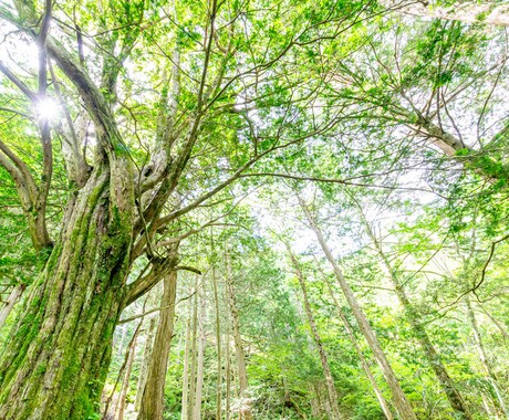 もしものことがあったら？不安な気持ち受け止めます 自分にもしものことがあった時の不安、話してください イメージ1