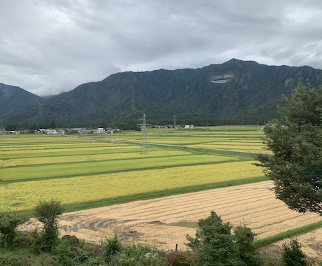 疲れた心のお話をやさしく聞きます 否定せず、友達のような距離感で寄り添います イメージ1
