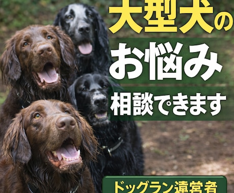 ドッグラン運営者が大型犬の飼育相談に乗ります 大型犬の心身・体幹強化や飼育面のお悩み相談出来ます イメージ1
