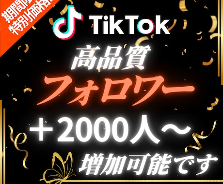 TikTokのフォロワー2000人以上増加させます 【出店記念としてお得な期間限定価格でご提供中（20名まで）】 イメージ1