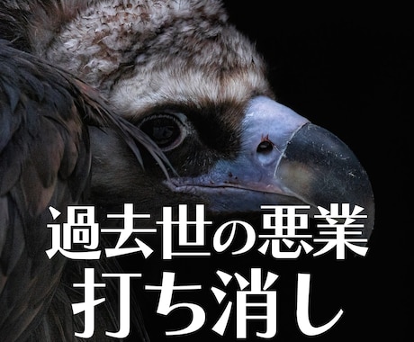 過去世の悪業を打ち消し、今世と来世に変化を促します 今世だけでなく、来世にも繋がる幸福を イメージ1