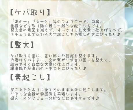 誠実×お手頃価格で様々なデータの文字起こし承ります 誠実×迅速を心がけ、可能な限りご要望にお応えいたします！ イメージ2
