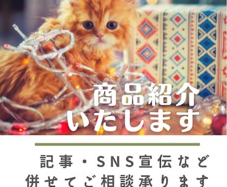 配信にて商品紹介いたします 商品の魅力を忖度なしにお伝え/noteや各SNSでの宣伝も！ イメージ1