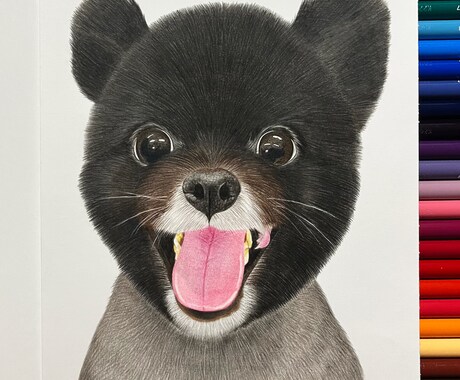 ペットの絵描きます 〜 色鉛筆で描くわんちゃん、ねこちゃんの似顔絵 〜 イメージ2