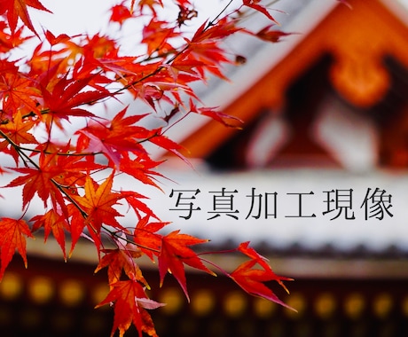 撮影した写真美しく加工・編集・現像します 撮った写真が暗くてパッとしない...そんな写真、蘇させます。 イメージ1