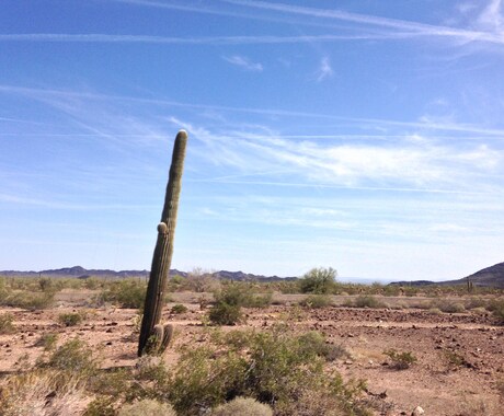 アメリカの風景画像ダウンロードできます アメリカの壮大さ美しさ心地良さが詰まった画像 イメージ2