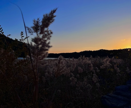 風景の写真を提供します 空・建物・花などなど風景メインで提供します! イメージ2