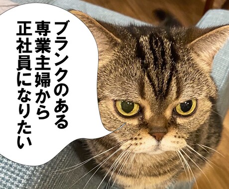 ブランクのある主婦から正社員になるお手伝いします ブランク主婦から正社員へ！夢を叶えるキャリアプラン作成 イメージ1