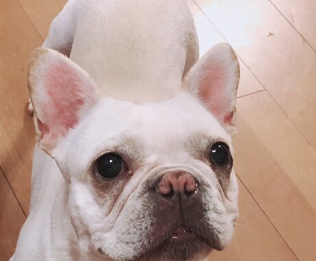 色々なお話伺います 中に溜まっている吐き出してスッキリしましょう! イメージ2