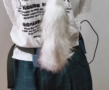 コスプレ用の電動しっぽを作成します イメージ1