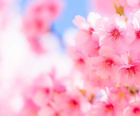 運命の相手を占います あなたの運命の人の特徴をお伝えします イメージ1