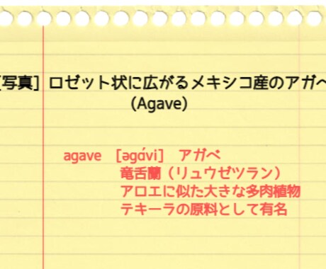 YouTube動画を使った英語学習用の教材作ります 実践的な英語力を身につけたい方に最適です イメージ2