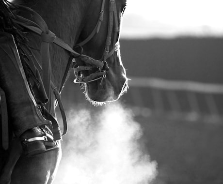 1ヶ月分の【中央競馬の買い目・高配当予想】します 毎週土日中央競馬の買い目をお届けします！！ イメージ2