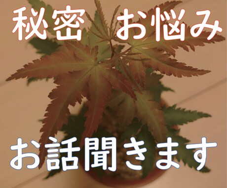誰にも話せないお話㊙️秘密厳守でお聞きします どんなお話でもどうぞ！遠慮せず思いっきり話してください イメージ1