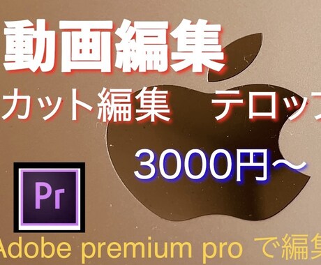 カット作業で動画編集します 動画初心者の方、面倒な編集作業を代わりに行います。 イメージ1