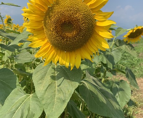 愚痴や悩みなんでも聞きますます なんとなく人と話したい、そんな時はありませんか？ イメージ1