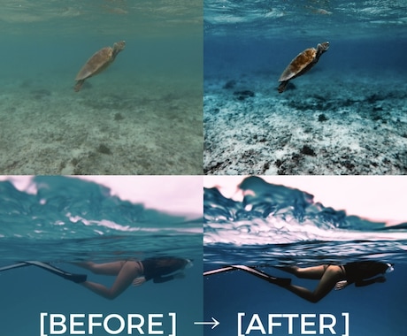 水中写真をLightroomで美しく補正します 水中写真の色補正・レタッチならお任せください イメージ1