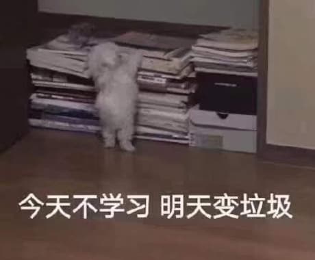 初心者向けの中国語講座再開いたします 日本語も中国語もネイティブレベル！現大学生が教えます！ イメージ1