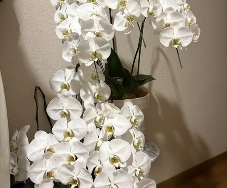 悩みを抱えている貴女。共に考え、心を整理します 仕事・人間関係・恋愛など、1人で悩まず話に来てね。 イメージ1