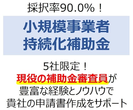 小規模事業者持続化補助金の申請書作成支援いたします 現役の補助金審査員である中小企業診断士が全力サポート！ イメージ1