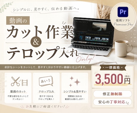 動画のカット作業、テロップ入れします イメージ1