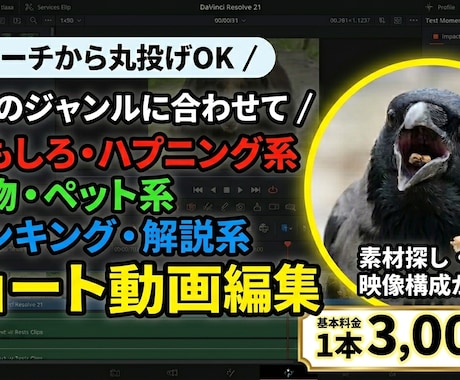 ショート動画、tiktokの動画編集受け付けます イメージ1