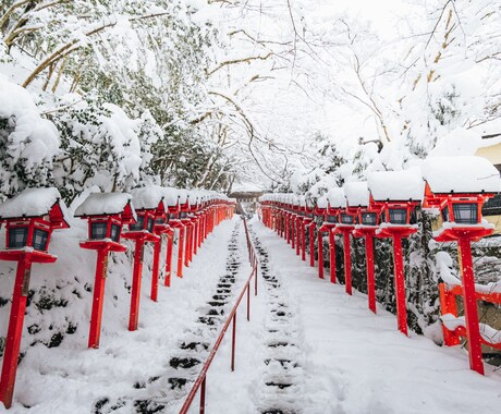 京都で“映える写真”撮影します 祇園・伏見稲荷・嵐山・清水寺など イメージ2