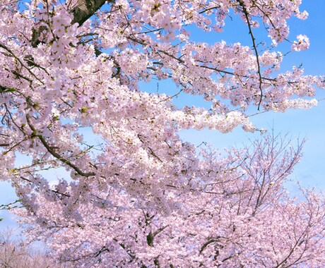 お菓子を作る仕事をしていました。話、聞きます 親身になって、お話しを聞きます♪よろしくお願いします。 イメージ1