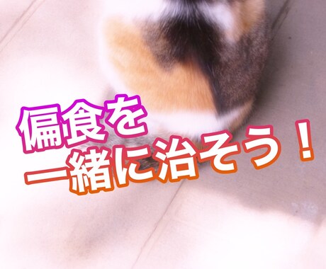 偏食を治すお手伝いします 偏食を克服して食事を楽しみましょう！ イメージ1