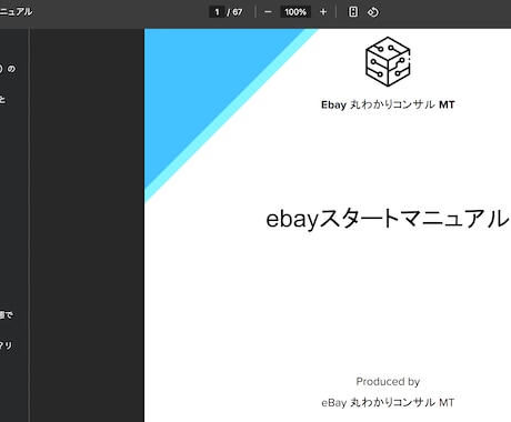 ebay 初心者向け 2週間みっちりコンサルします 大容量スタートアップガイド＋ショップ立ち上げサポート付き イメージ2