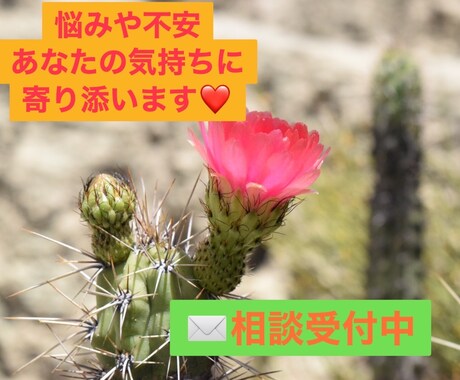 日々の悩みや不安に2日間✉️相談で寄り添います (仕事・家庭・恋愛・不妊・出産・育児・保活など) イメージ1