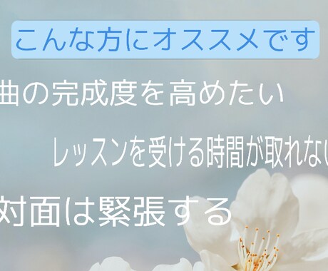 動画でレッスン！ピアノの練習をサポートします 対面は緊張するという方にオススメです イメージ2