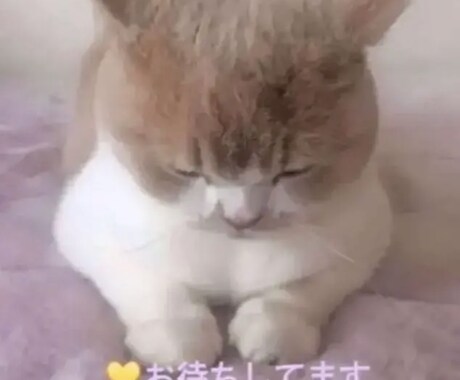 メッセージ相手☆愚痴☆悩み事 ♡お待ちします 貴方の ♡心の 声 ♡ お待ちしています☆気兼ねく連絡 イメージ1