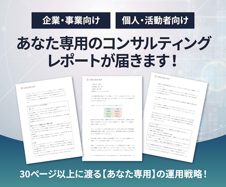 事業・個人用SNSの集客コンサルを行います 有名インフルエンサーも担当するプロが戦略レポートを作成します イメージ2
