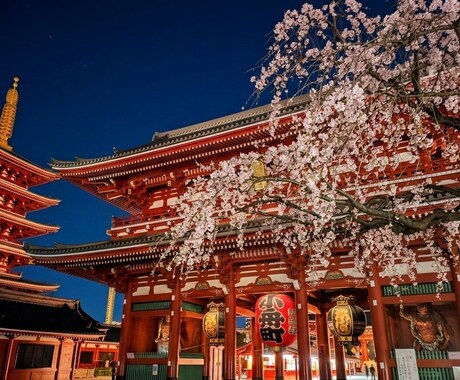 元人力車俥夫が、浅草の観光プランをご提案します グルメ・神社仏閣・着物・映え・カフェ・歴史など全て満喫！ イメージ1
