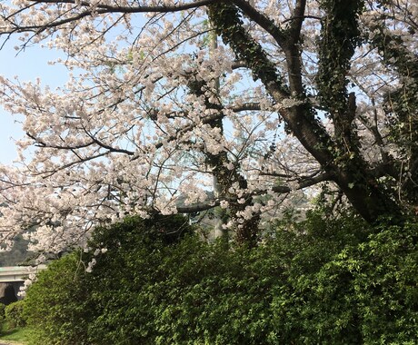 話相手になります 誰かに聞いて欲しい話や愚痴を聞きます イメージ1