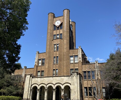 東大生が理系科目の勉強サポートを行います 小学生〜大学受験生まで対象に主に理系科目の解説指導 イメージ1