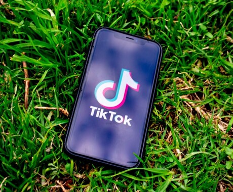 日本人限定TikTokフォロワー100人拡散します 超スピード対応で安心・安全にフォロワー数支援します！ イメージ2
