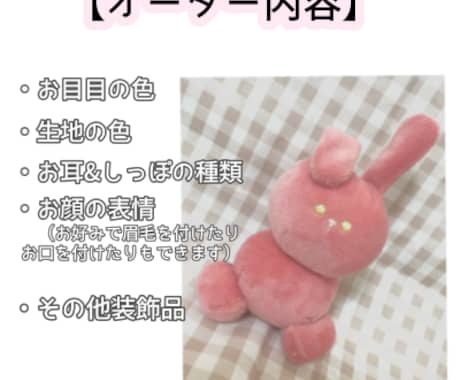 3月まで特別価格！お安くセミオーダーぬい作ります 自分だけのコロコロ可愛いぬいぐるみはいかがですか？♡ イメージ2