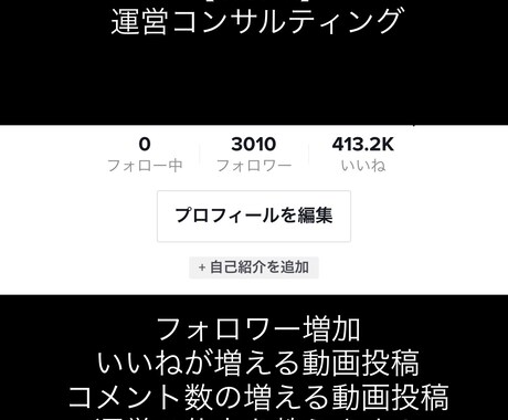 TikTokで有名になる方法教えます 動画の編集の仕方、投稿の仕方など、様々な面でサポートします。 イメージ1