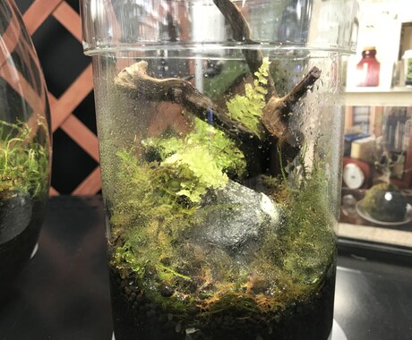 現役店員がアクアリウムの始め方をサポートします 緑と水に癒されたい方、魚を飼育してみたい方へ イメージ1