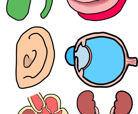 ゆるい医療イラスト作成します 商用可能！パンフレットやSNSにいかがでしょうか？ イメージ2