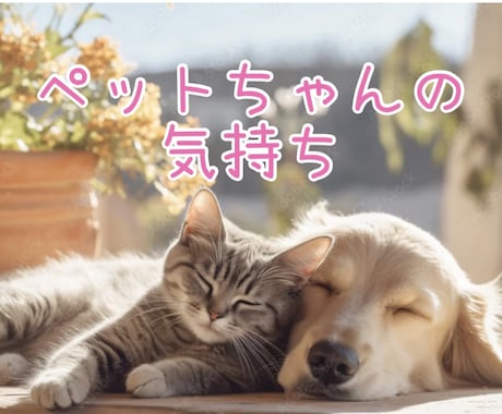 ペットさんの本音◆気持ちとメッセージを鑑定します 虹の橋の子も対応◆どう思っているのかメッセージお伝えします イメージ1