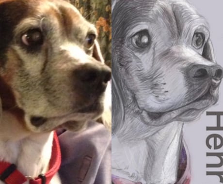 犬や猫などペットの肖像画を描きます ペットの似顔絵、イラスト、オーダーメイド イメージ2