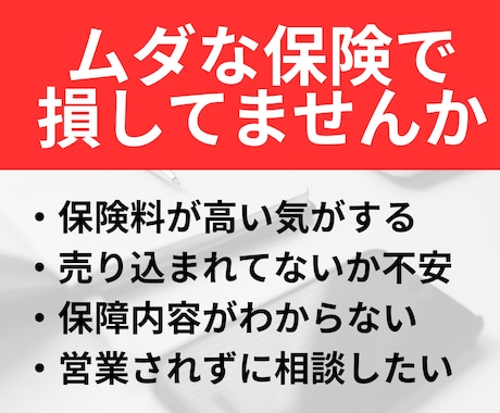 元保険営業が生命保険を見直し・ご相談受付けます 月5000円を目指した生命保険の最適化をサポート イメージ2