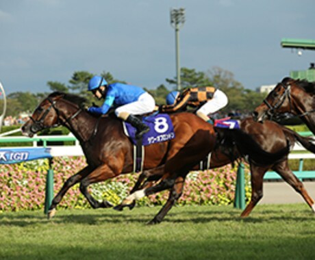 今週の競馬重賞予想します スプリンターズSとシリウスS当てたい方へ！ イメージ1