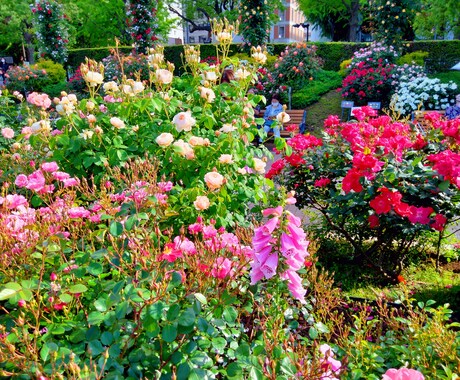 職場の人間関係で悩んでいるあなたにアドバイスします カウンセリング歴20年の公認心理師があなたの味方になります。 イメージ1